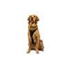 Ruffwear Ridgeline™ Harness - Harnais pour chien | Hardloop