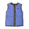 Patagonia W's LW Reversible Down Sweater Vest - Donsjack - Dames | Hardloop