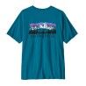 Patagonia M's Fitz Roy Foothills T-Shirt - T-shirt - Men's | Hardloop