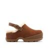 Dark Auburn / Gum 2
