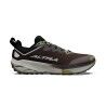 Marron / Argent / Vert