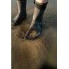 Zone3 Chaussettes Natation Active-Flex - Neopreenitossut | Hardloop