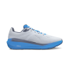 Blue / Gray