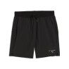 Puma M Puma X Hyrox Woven Short - Pánské běžecké kraťasy | Hardloop