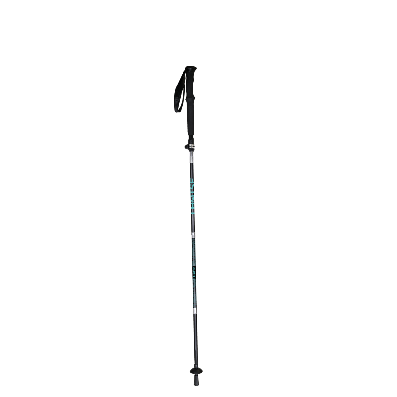 Digitale - Walking poles