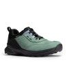 Mint / Asphalt