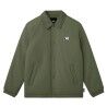 Green Balsam