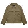 Olive Brown