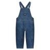 Vans Davey Workwear Overall - Salopette per bambini | Hardloop