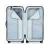 Delsey Turenne 2.0 Soute Trunk - Trolley | Hardloop
