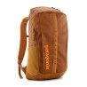 Cinnamon Brown