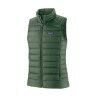 Canopy Green
