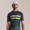 Dark Forest / Chartreuse