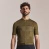 Dark Olive / Balsam Green