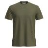 Sphagnum