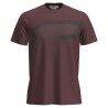 icebreaker Men Merino 150 Tech Lite SS Tee Getaway - T-shirt en laine mérinos homme | Hardloop