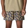 Patagonia Baggies Shorts 5 in. - Short homme | Hardloop