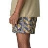Patagonia Baggies Shorts 5 in. - Short homme | Hardloop