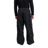 Quiksilver Snow Down Cargo 20K Pt - Pantalon ski homme | Hardloop