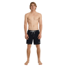 Quiksilver Original Arch Volley 17Nb - Boardshort homme | Hardloop