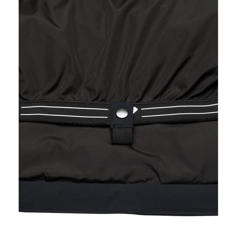 Roxy 20K Ridgemount Jk - Veste ski femme | Hardloop