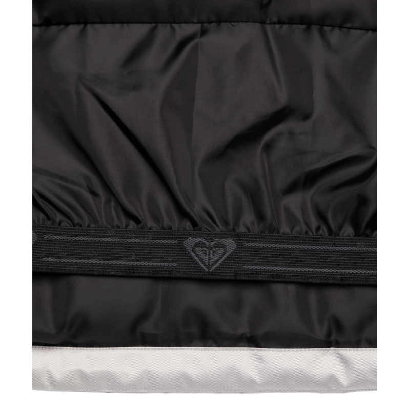 Roxy Snow Winter Rebel Jacket - Laskettelutakki - Naiset | Hardloop