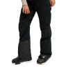 Roxy Gore-Tex Stretch Landform Pt - Pantalon ski femme | Hardloop
