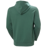 Helly Hansen Core Graphic Hoodie - Sweatshirt à capuche homme | Hardloop