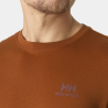 Helly Hansen Nord Graphic T-Shirt - T-paita - Miehet | Hardloop