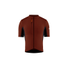 Burnt Ochre