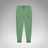 Nile Green