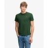 Rich Boston Green / Cream