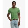 Artichoke Green / Fern Green