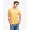 Ochre Yellow Marl / Yolk Yellow