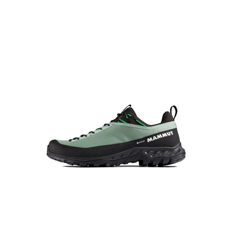 Mammut Alnasca IV Low GTX - buty podejściowe meskie | Hardloop