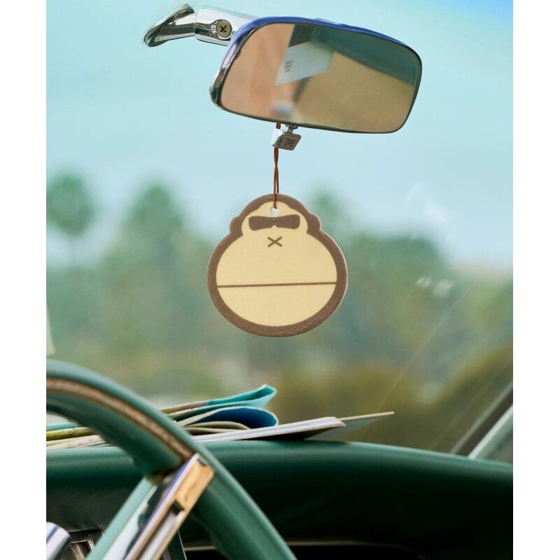 Air Freshener