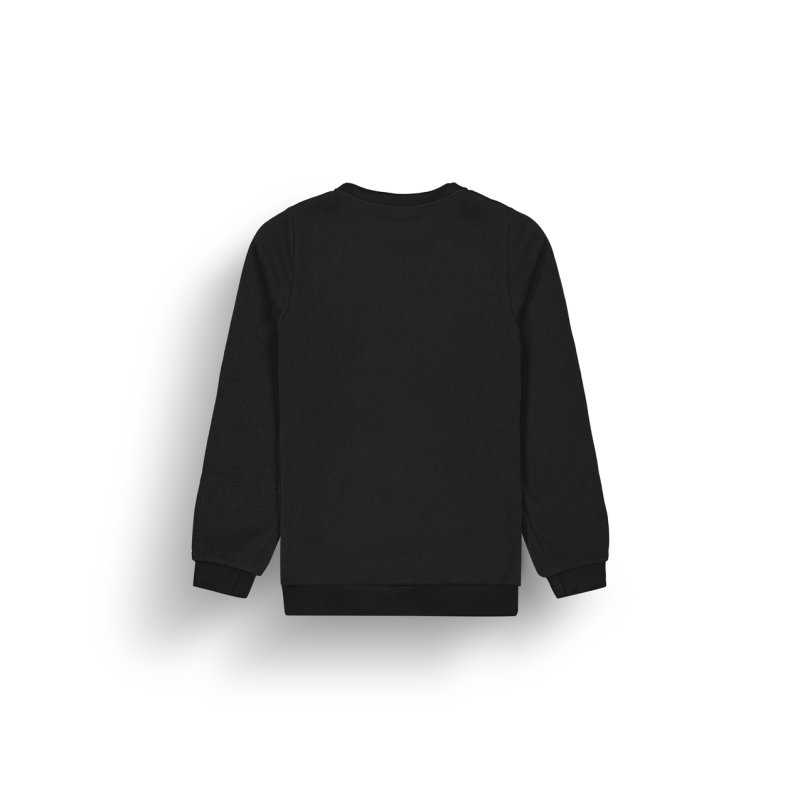 Picture Organic Clothing Tofu Sweater - Bluza męska | Hardloop