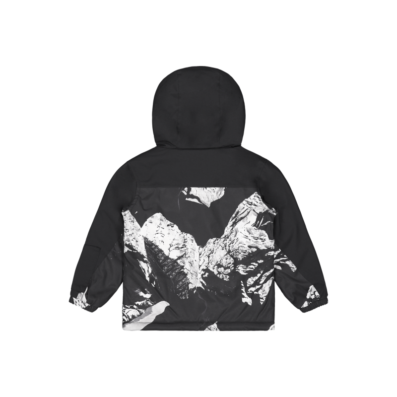 Picture Organic Clothing Snowy Printed Toddler Jkt - Chaqueta de esquí - Niños | Hardloop