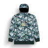 Picture Organic Clothing Parker Printed Jkt - Ski jacket - Men's | Hardloop