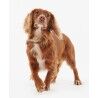 Barbour Leather Dog Collar - Coleira de cachorro | Hardloop