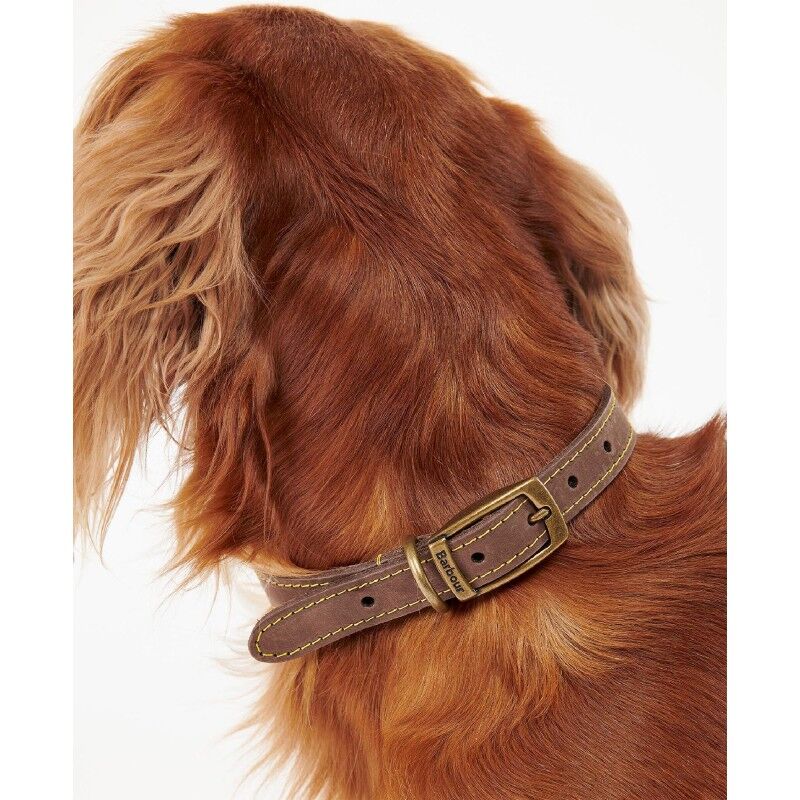 Barbour Leather Dog Collar - Coleira de cachorro | Hardloop