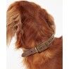 Barbour Leather Dog Collar - Hundehalsband | Hardloop