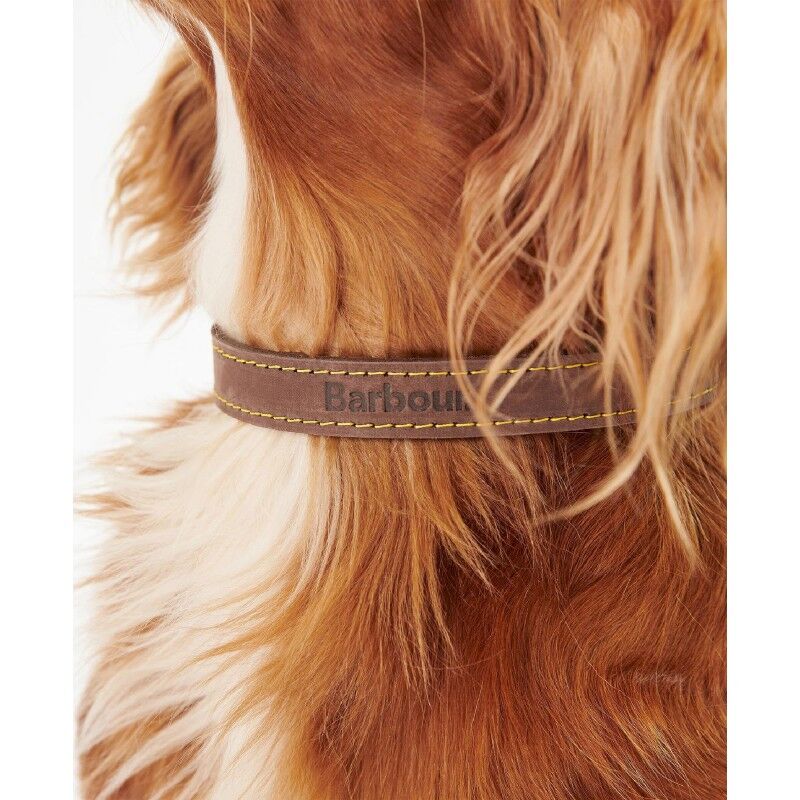 Barbour Leather Dog Collar - Koiran kaulapanta | Hardloop