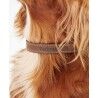 Barbour Leather Dog Collar - Koiran kaulapanta | Hardloop