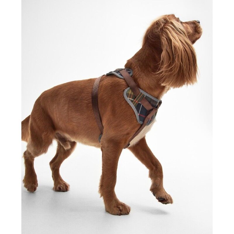 Barbour Fully Adjustable Harness - Uprząż dla psa | Hardloop