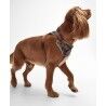 Barbour Fully Adjustable Harness - Uprząż dla psa | Hardloop