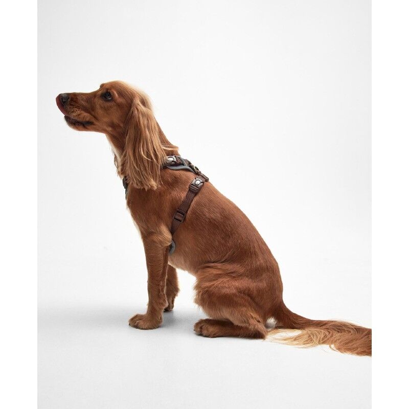 Barbour Fully Adjustable Harness - Hundegeschirr | Hardloop