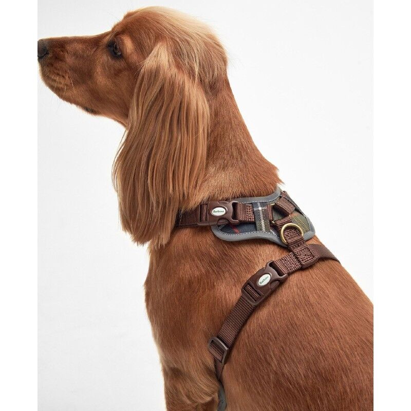 Barbour Fully Adjustable Harness - Koiran valjaat | Hardloop