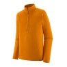 Autumn Orange