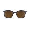 Solar Chester Cat 3 - Sunglasses | Hardloop